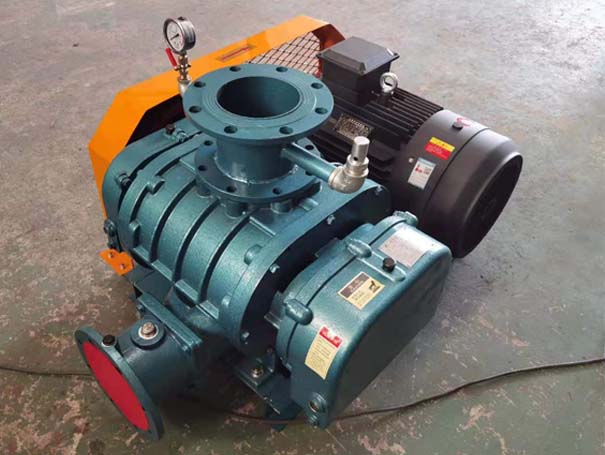 羅茨午夜久久精品廠家發貨江西羅茨真空泵XQSSR125v5台(圖1)