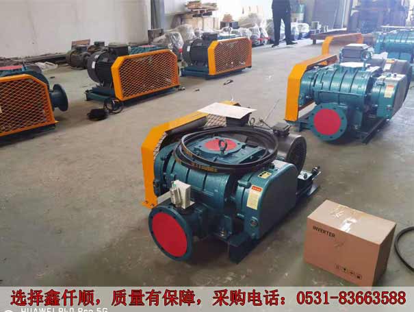 發貨廣西高壓羅茨鼓午夜久久精品XQSSR15030KW6台(圖1)