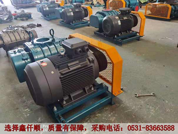 發貨廣西高壓羅茨鼓午夜久久精品XQSSR15030KW6台(圖2)